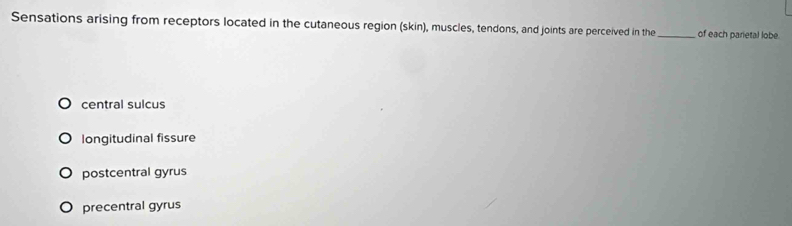 Sensations arising from receptors located in the cutaneous region (skin), muscles, tendons, and joints are perceived in the _of each parietal lobe.
central sulcus
longitudinal fissure
postcentral gyrus
precentral gyrus