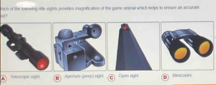 thich of the tolowing rifle sights provides magnification of the game animal which helps to ensure an accurate
aot?
A Telescopic sigh! B Aperture (peep) sight C Open sight D Binoculars