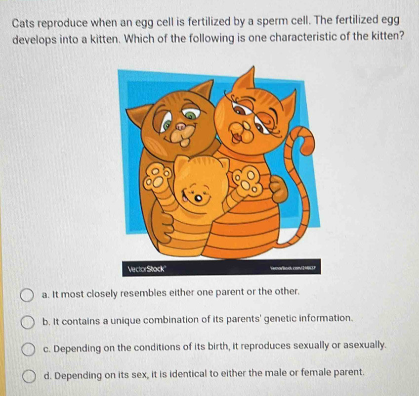 Cats reproduce when an egg cell is fertilized by a sperm cell. The fertilized egg
develops into a kitten. Which of the following is one characteristic of the kitten?
a. It most closely resembles either one parent or the other.
b. It contains a unique combination of its parents' genetic information.
c. Depending on the conditions of its birth, it reproduces sexually or asexually.
d. Depending on its sex, it is identical to either the male or female parent.