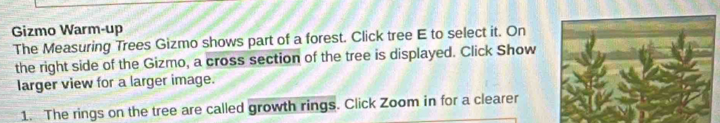 Solved: Gizmo Warm-up The Measuring Trees Gizmo shows part of a forest ...