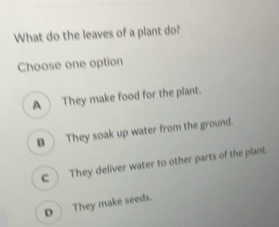 Solved: What do the leaves of a plant do? Choose one option A They make ...