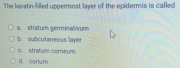 The keratin-filled uppermost layer of the epidermis is called
a. stratum germinativum
b. subcutaneous layer
c. stratum corneum
d. corium