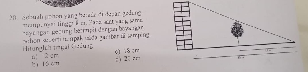 Sebuah pohon yang berada di depan gedung
mempunyai tinggi 8 m. Pada saat yang sama
bayangan gedung berimpit dengan bayangan
pohon seperti tampak pada gambar di samping.
Hitunglah tinggi Gedung.
a) 12 cm c) 18 cm
b) 16 cm d) 20 cm