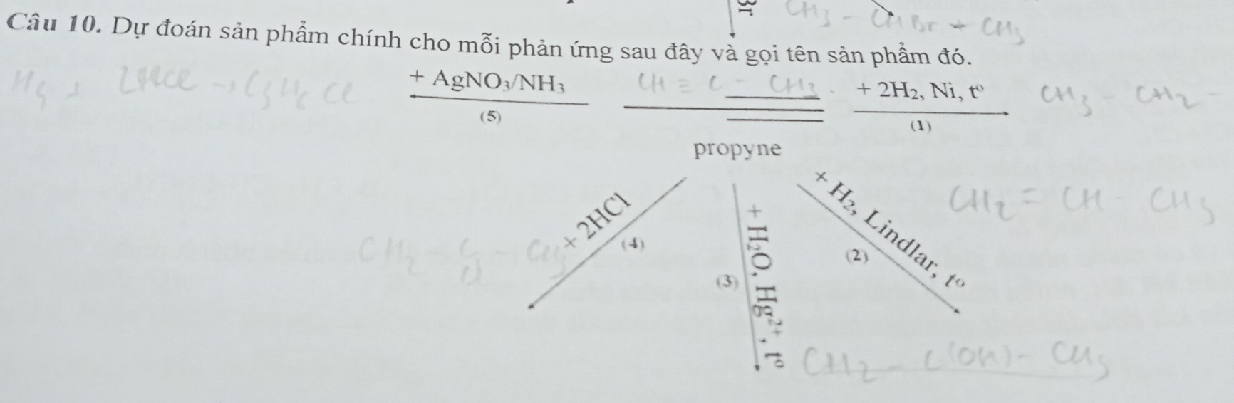 Dự đoán sản phẩm chính cho mỗi phản ứng sau đây và gọi tên sản phẩm đó.
frac +AgNO_3/NH_3(5)
frac +2H_2,Ni,t''(1)
propyne 
× 
1 
_ 7 
+ 
Lindlar 
(4) 
(2) 
(3) t°