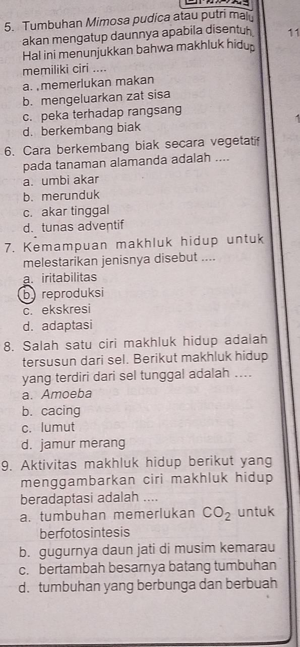 Tumbuhan Mimosa pudica atau putri malu
akan mengatup daunnya apabila disentuh 11
Hal ini menunjukkan bahwa makhluk hidu
memiliki ciri ....
a. memerlukan makan
b. mengeluarkan zat sisa
c. peka terhadap rangsang
d. berkembang biak
6. Cara berkembang biak secara vegetatif
pada tanaman alamanda adalah ....
a. umbi akar
b. merunduk
c. akar tinggal
d. tunas adventif
7. Kemampuan makhluk hidup untuk
melestarikan jenisnya disebut ....
a. iritabilitas
byreproduksi
c. ekskresi
d. adaptasi
8. Salah satu ciri makhluk hidup adalah
tersusun dari sel. Berikut makhluk hidup
yang terdiri dari sel tunggal adalah ....
a. Amoeba
b. cacing
c. lumut
d. jamur merang
9. Aktivitas makhluk hidup berikut yang
menggambarkan ciri makhluk hidup 
beradaptasi adalah ....
a. tumbuhan memerlukan CO_2 untuk
berfotosintesis
b. gugurnya daun jati di musim kemarau
c. bertambah besarnya batang tumbuhan
d. tumbuhan yang berbunga dan berbuah