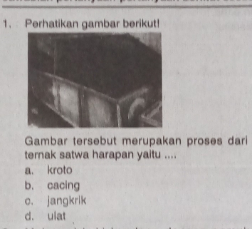 Perhatikan gambar berikut!
Gambar tersebut merupakan proses dari
ternak satwa harapan yaitu ....
a. kroto
b. cacing
c. jangkrik
d. ulat