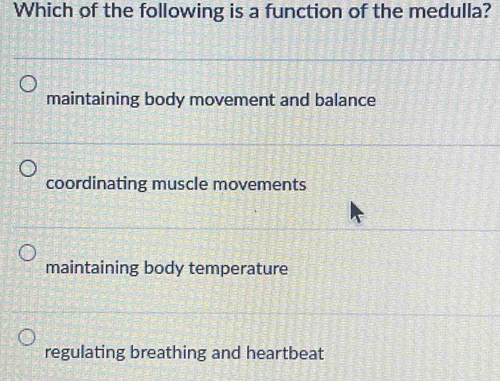 Which of the following is a function of the medulla?
maintaining body movement and balance
coordinating muscle movements
maintaining body temperature
regulating breathing and heartbeat