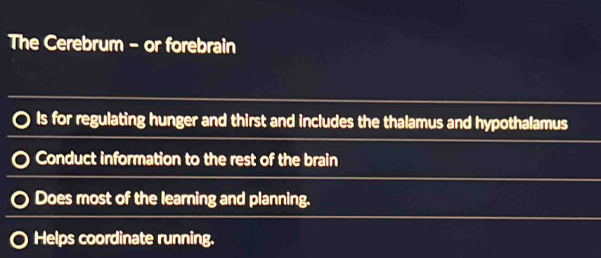 The Cerebrum - or forebrain 
Is for regulating hunger and thirst and includes the thalamus and hypothalamus 
〇 Conduct information to the rest of the brain 
Does most of the learning and planning. 
Helps coordinate running.