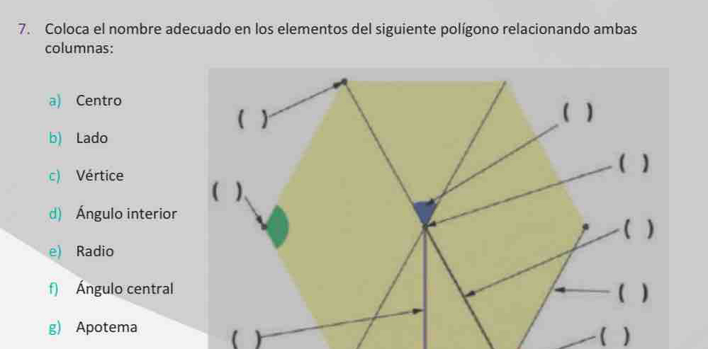 Coloca el nombre adecuado en los elementos del siguiente polígono relacionando ambas 
columnas: 
a) Centro 
b) Lado 
c) Vértice 
d) Ángulo interior 
e) Radio 
f) Ángulo central 
g) Apotema 
( 
 )