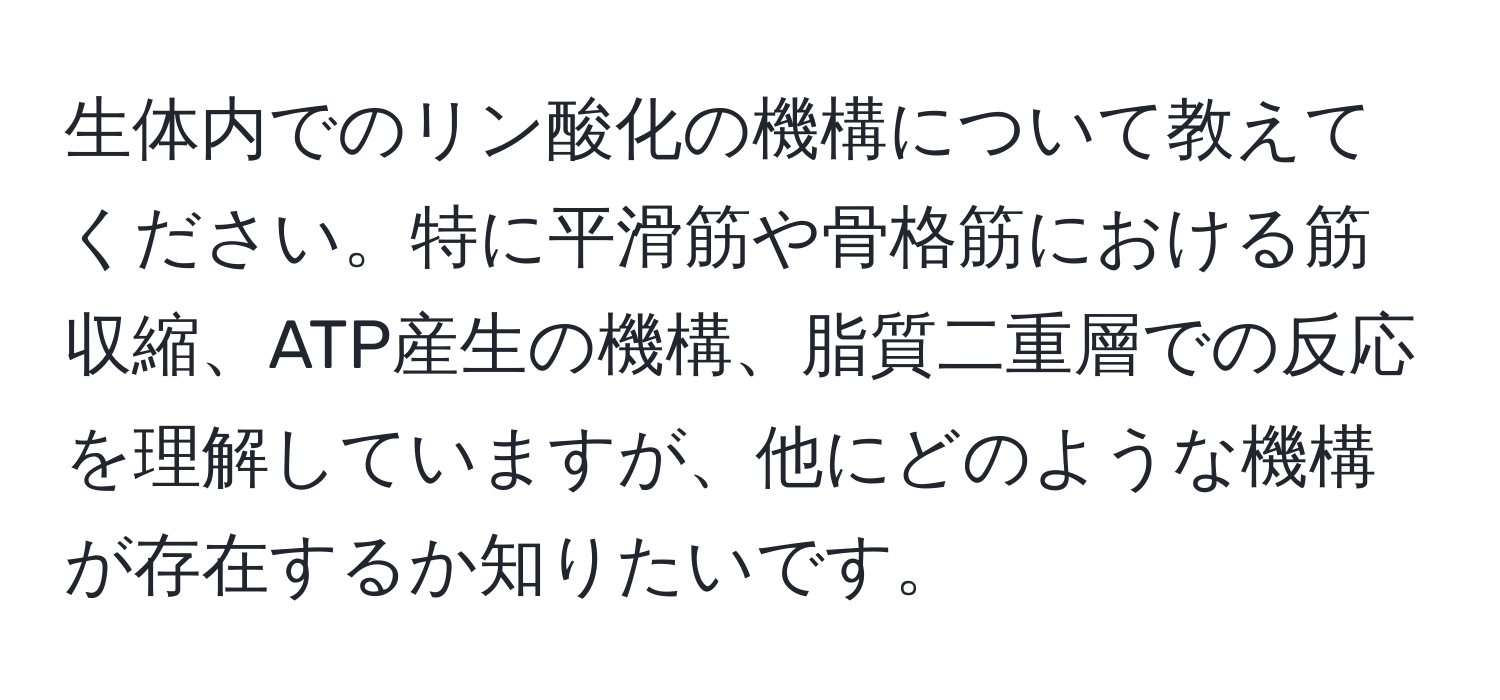 生体内でのリン酸化の機構について教えてください。特に平滑筋や骨格筋における筋収縮、ATP産生の機構、脂質二重層での反応を理解していますが、他にどのような機構が存在するか知りたいです。