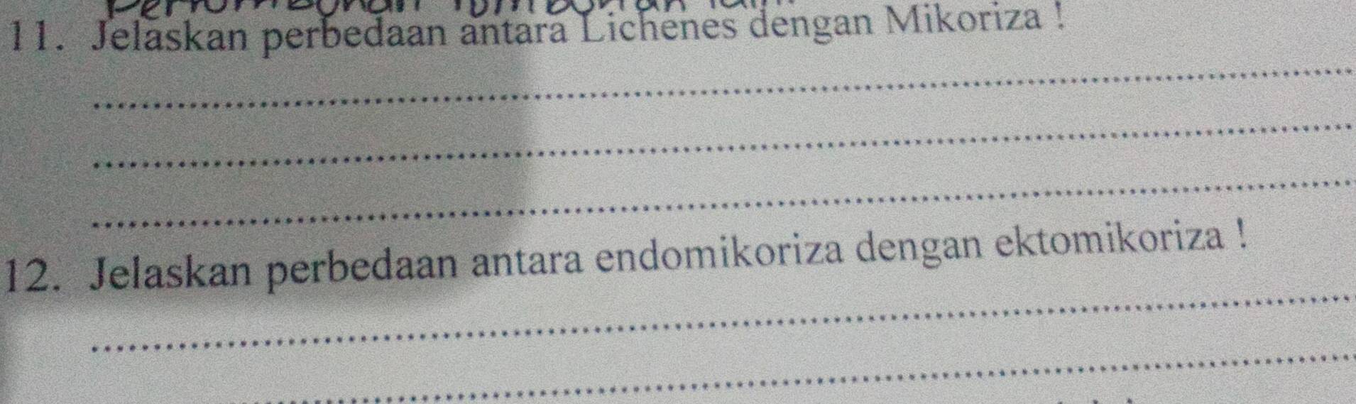 Jelaskan perbedaan antara Lichenes dengan Mikoriza ! 
_ 
_ 
_ 
_ 
12. Jelaskan perbedaan antara endomikoriza dengan ektomikoriza ! 
_