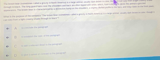 The brown bear (sometimes called a grizzly in North America) is a large animal, usually dark brown in color, tho he it can vary from a ligh Erealy stu
through to black. The long guard hairs over the shoulders and back are often tipped with white, which, from a dis aace, gives the animal a grizzled
appearance. The brown bear is characterized by a distinctive hump on the shoulders, a slightly dished profile to the face, and long claws on the front paws
What is the purpose of the sentence "The brown bear (sometimes called a grizzly in North America) is a large animal, usually dark brown in color, though it
can vary from a light creamy shade through to black"?
A to conclude the paragraph
B to establish the topic of the paragraph
C to add a relevant detail to the paragraph
to give a sense of contrast to the paragraph