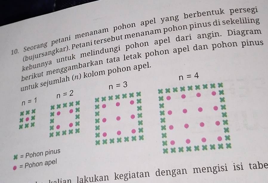 Seorang petani menanam pohon apel yang berbentuk perseg:
(bujursangkar). Petani tersebut menanam pohon pinus di sekeliling
kebunnya untuk melindungi pohon apel dari angin. Diagram
berikut menggambarkan tata letak pohon apel dan pohon pinus
untuk sejumlah (π) kolom pohon apel.
n=3
n=2
n=1
= Pohon pinus
= Pohon apel
lolian lakukan kegiatan dengan mengisi isi tabe