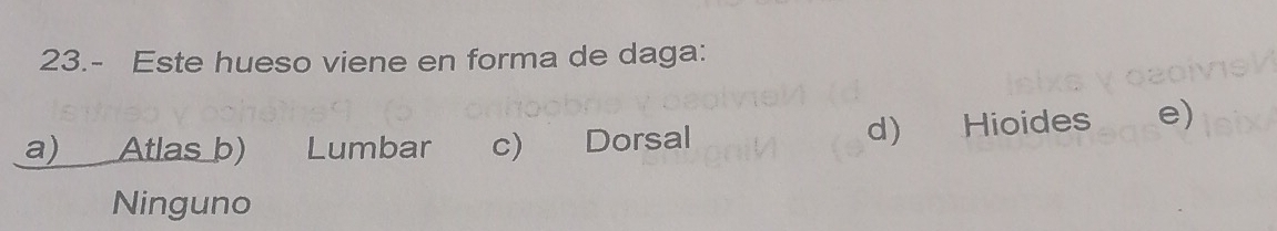 23.- Este hueso viene en forma de daga:
a) Atlas b) Lumbar c) Dorsal d) Hioides e)
Ninguno