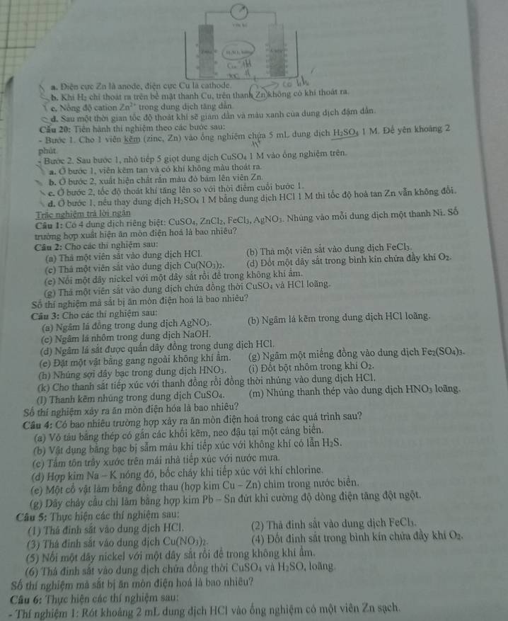 a. Điện cực Zn là anode, điện c
b. Khi H₂ chỉ thoát ra trên bề mật thanh Cu, trên thanh Z
e, Nông độ cation Zn^(2+) trong đung dịch tăng dẫn n)không có hoát ra
đ. Sau một thời gian tốc độ thoát khí sẽ giám dân và màu xanh của dung dịch đậm dân.
Cấu 20: Tiên hành thi nghiệm theo các bước sau:
- Bước 1. Cho 1 viên kêm (Zinc,Zn) vào ổng nghiệm chứa 5 mL dung địch H_2SO_41M 1. Đế yên khoảng 2
phút
Bước 2. Sau bước 1, nhỏ tiếp 5 giọt dung dịch CuSO_4 1 M vào ổng nghiệm trên
a. Ở bước 1, viên kẽm tan và có khí không màu thoát ra.
b. Ở bước 2, xuất hiện chất rắn màu đỏ bám lên viên Zn.
c. Ở bước 2, tốc độ thoát khí tăng lên so với thời điểm cuối bước 1.
đ. Ở bước 1, nều thay dung dịch H_2SO_4 1M bằng dung dịch HCl 1 M thi tốc độ hoả tan Zn vẫn không đổi.
Trác nghiệm trả lời ngắn
Câu 1: Có 4 dung dịch riêng biệt: CuSO_4,ZnCl_2,FeCl_3,AgNO_3 Nhúng vào mỗi dung dịch một thanh Ni. Số
trường hợp xuất hiện ăn mòn điện hoá là bao nhiêu?
Cầu 2: Cho các thí nghiệm sau:
(a) Thả một viên sắt vào dung dịch HCl. (b) Thà một viên sắt vào dung dịch I eCl a
(c) Thả một viên sắt vào dung dịch Cu(NO_3)_2. (d) Đổt một dãy sắt trong bình kin chứa đầy khí O_2
(e) Nổi một đây nickel với một dây sắt rồi đề trong không khí ẩm.
(g) Thả một viên sắt vào dung dịch chứa đồng thời CuSO; và HCl loãng.
Số thí nghiệm mà sắt bị ăn mòn điện hoá là bao nhiêu?
Cầu 3: Cho các thí nghiệm sau:
(a) Ngâm lá đồng trong dung dịch AgNO_3. (b) Ngâm lá kẽm trong dung dịch HCl loãng.
(c) Ngâm lã nhôm trong dung dịch NaOH,
(d) Ngâm lá sắt được quấn dây đồng trong dung dịch HCl.
(e) Đặt một vật bằng gang ngoài không khí ẩm. (g) Ngâm một miếng đồng vào dung dịch Fe_2(SO_4)_3.
(h) Nhúng sợi dây bạc trong dung dịch HNO_3. (i) Đốt bột nhôm trong khí O_2.
(k) Cho thanh sắt tiếp xúc với thanh đồng rồi đồng thời nhúng vào dung dịch HCl,
(I) Thanh kẽm nhúng trong dung dịch CuSO₄. (m) Nhúng thanh thép vào dung dịch HNO_3 loāng.
Số thí nghiệm xảy ra ăn mòn điện hóa là bao nhiêu?
Câu 4: Có bao nhiêu trường hợp xảy ra ăn mòn điện hoá trong các quá trình sau?
(a) Vô tàu bằng thép có gần các khôi kẽm, neo đậu tại một cảng biển.
(b) Vật dụng bằng bạc bị sẫm màu khi tiếp xúc với không khí có lẫn H_2S.
(c) Tâm tôn trấy xước trên mái nhà tiếp xúc với nước mưa.
(d) Hợp kim Na - K nóng đó, bốc cháy khi tiếp xúc với khí chlorine.
(e) Một cổ vật làm bằng đồng thau (hợp kim Cu-Zn) chim trong nước biển.
(g) Dây chảy cầu chỉ làm bằng hợp kim Pb-Sn đứt khi cường độ dòng điện tăng đột ngột.
Câu 5: Thực hiện các thí nghiệm sau:
(1) Thá đỉnh sắt vào dung dịch HCl.  (2) Thả đinh sắt vào dung dịch FeCl.
(3) Thá đinh sắt váo dung dịch Cu(NO_3)_2. (4) Đốt đinh sắt trong bình kín chứa đầy khi O_2.
(5) Nổi một dây nickel với một dây sắt rồi để trong không khí ẩm.
(6) Thả đinh sắt vào dung dịch chứa đồng thời C uSO_4 và H_2SO. , loãng
Số thí nghiệm mã sắt bị ăn mòn điện hoá là bao nhiêu?
Câu 6: Thực hiện các thí nghiệm sau:
- Thí nghiệm 1: Rót khoảng 2 mL dung dịch HCl vào ống nghiệm có một viên Zn sạch.