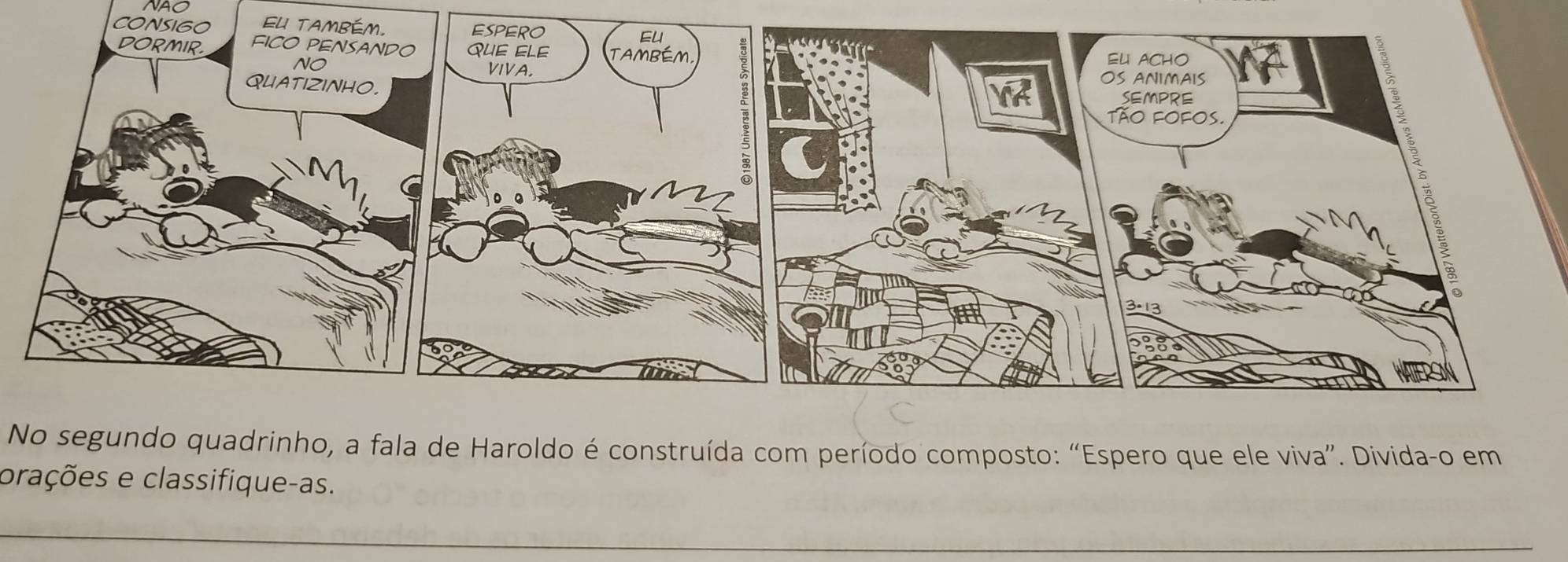 NAO 
Ceu 
No segundo quadrinho, a fala de Haroldo é construída com período composto: “Espero que ele viva”. Divida-o em 
orações e classifique-as.