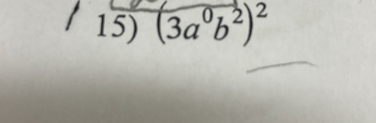 (3a^0b^2)^2