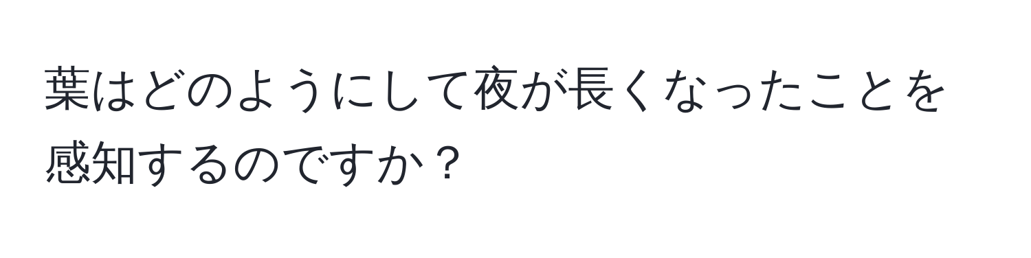 葉はどのようにして夜が長くなったことを感知するのですか？