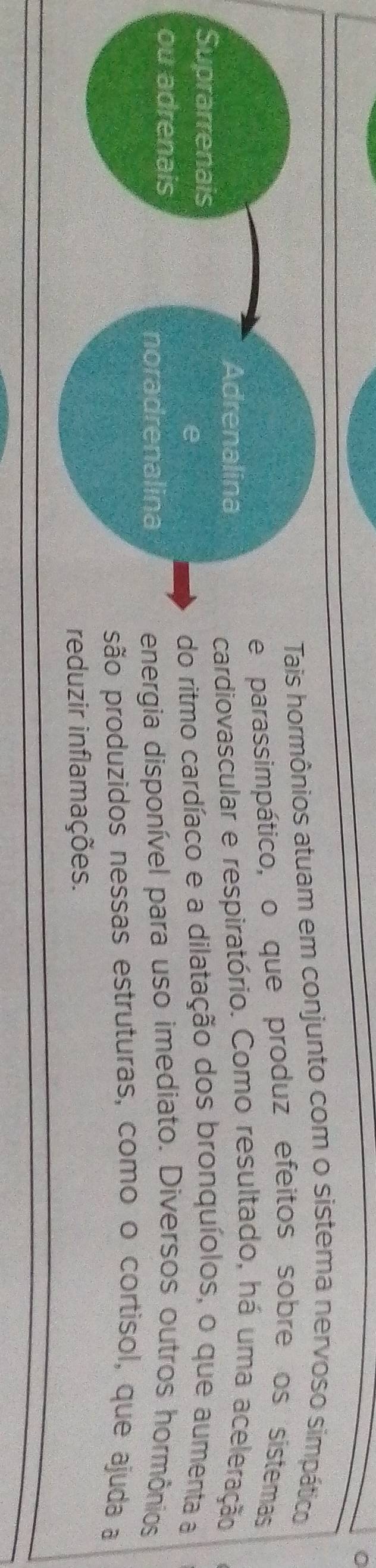 hormônios atuam em conjunto com o sistema nervoso simpático 
arassimpático, o que produz efeitos sobre os sistemas 
iovascular e respiratório. Como resultado, há uma aceleração 
itmo cardíaco e a dilatação dos bronquíolos, o que aumenta a 
gia disponível para uso imediato. Diversos outros hormônios 
produzidos nessas estruturas, como o cortisol, que ajuda a 
ir inflamações.