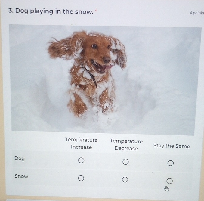 Dog playing in the snow. * 4 points
Temperature Temperature Stay the Same
Increase Decrease
Dog
Snow