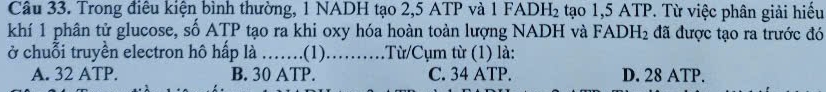 Trong điều kiện bình thường, 1 NADH tạo 2, 5 ATP và 1 FADH₂ tạo 1,5 ATP. Từ việc phân giải hiểu
khí 1 phân tử glucose, số ATP tạo ra khi oxy hóa hoàn toàn lượng NADH và FADH_2 đã được tạo ra trước đó
ở chuỗi truyền electron hô hấp là ……(1)……Từ/Cụm từ (1) là:
A. 32 ATP. B. 30 ATP. C. 34 ATP. D. 28 ATP.