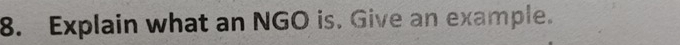 Explain what an NGO is. Give an example.