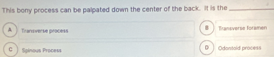 This bony process can be palpated down the center of the back. It is the_
B
A Transverse process Transverse foramen
D ì
C  Spinous Process Odontoid process