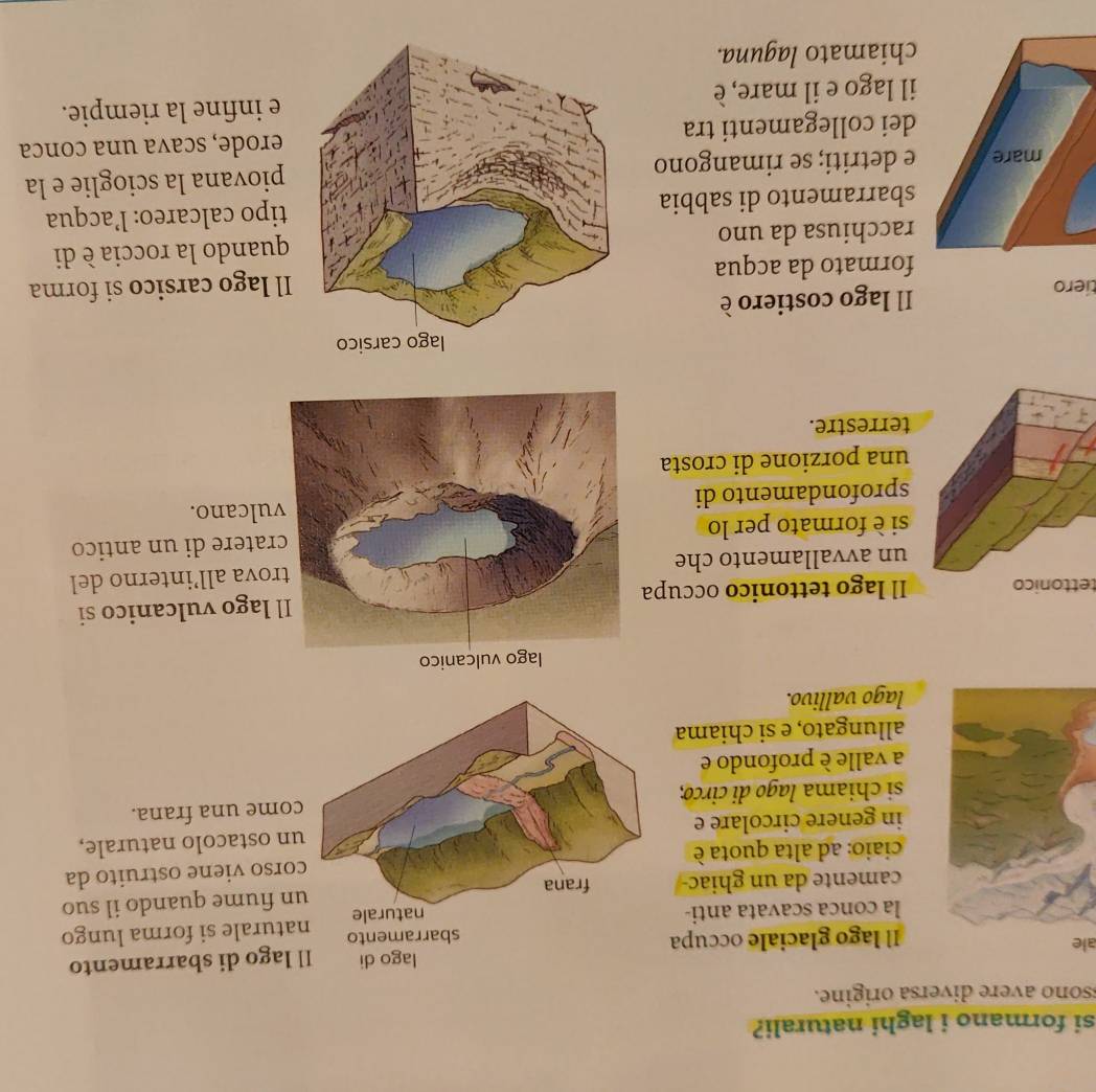 si formano i laghi naturali? 
ssono avere diversa origine. 
l lago di sbarramento 
aleIl lago glaciale occupa 
la conca scavata anti- naturale si forma lungo 
camente da un ghiacun fiume quando il suo 
ciaio: ad alta quota ècorso viene ostruito da 
in genere circolare eun ostacolo naturale, 
si chiama lago di circo; come una frana. 
a valle è profondo e 
allungato, e si chiama 
lago vallivo. 
tettonico Il lago tettonico occupa lago vulcanico si 
un avvallamento cherova all’interno del 
si è formato per loratere di un antico 
sprofondamento diulcano. 
una porzione di crosta 
terrestre. 
tiero Il lago costiero è 
formato da acquaIl lago carsico si forma 
racchiusa da unoquando la roccia è di 
sbarramento di sabbia tipo calcareo: l'acqua 
e detriti; se rimangono piovana la scioglie e la 
dei collegamenti traerode, scava una conca 
il lago e il mare, è e infine la riempie. 
chiamato laguna.