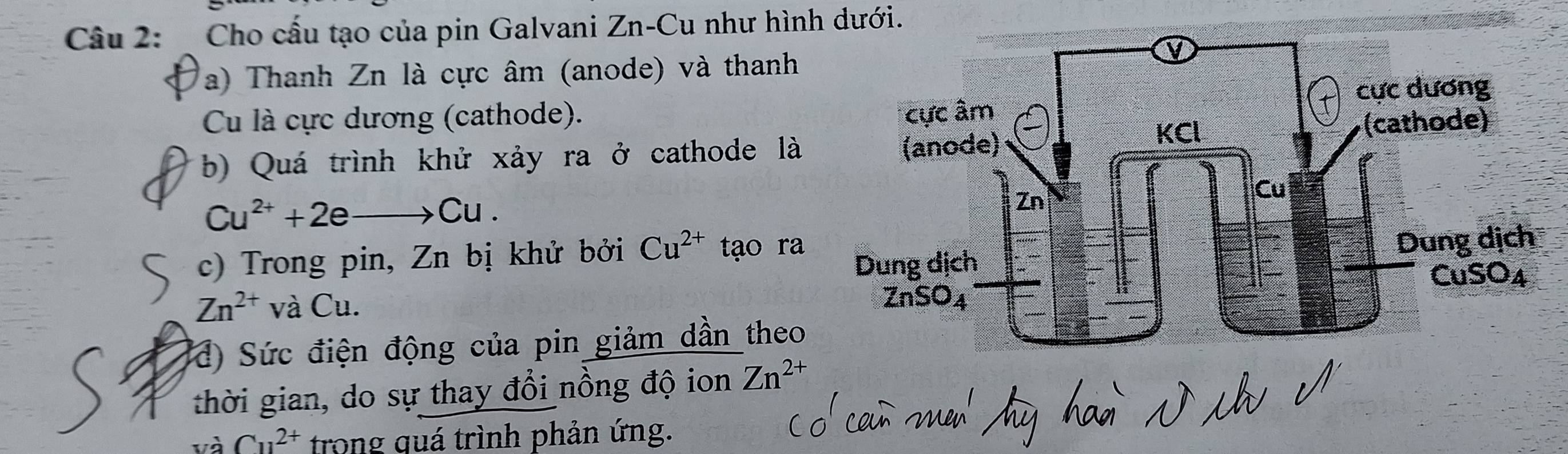 Cho cấu tạo của pin Galvani Zn-Cu như hình dưới.
a) Thanh Zn là cực âm (anode) và thanh
Cu là cực dương (cathode).
b) Quá trình khử xảy ra ở cathode là
Cu^(2+)+2eto Cu.
c) Trong pin, Zn bị khử bởi Cu^(2+) tạo ra
Zn^(2+) và Cu.
d) Sức điện động của pin giảm dần theo
thời gian, do sự thay đổi nồng độ ion Zn^(2+)
và Cu^(2+) trong quá trình phản ứng.