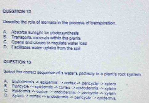 QUIESTION 12
Describe the role of stomata in the process of transpiration.
A. Absorbs sunlight for photosynthesis
B. Transports minerals within the plants
C. Opens and closes to regulate water loss
D. Facilitates water uptake from the soil
QUESTION 13
Select the correct sequence of a water's pathway in a plant's root system.
A. Endodermis -> epidermis -> cortex -> pericycle -> xylem
B. Pericycle -> epídermis -> cortex -> endodermis -> xylem
C. Epidermis -> cortex -> endodermis -> pericycle -> xylem
D. Xylem -> cortex -> endodermis -> pericycle -> epidermis