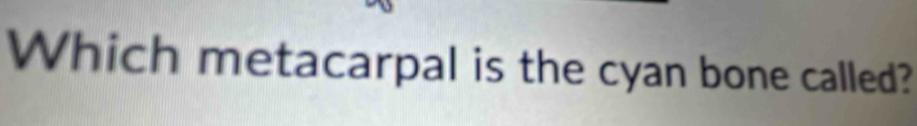 Which metacarpal is the cyan bone called?