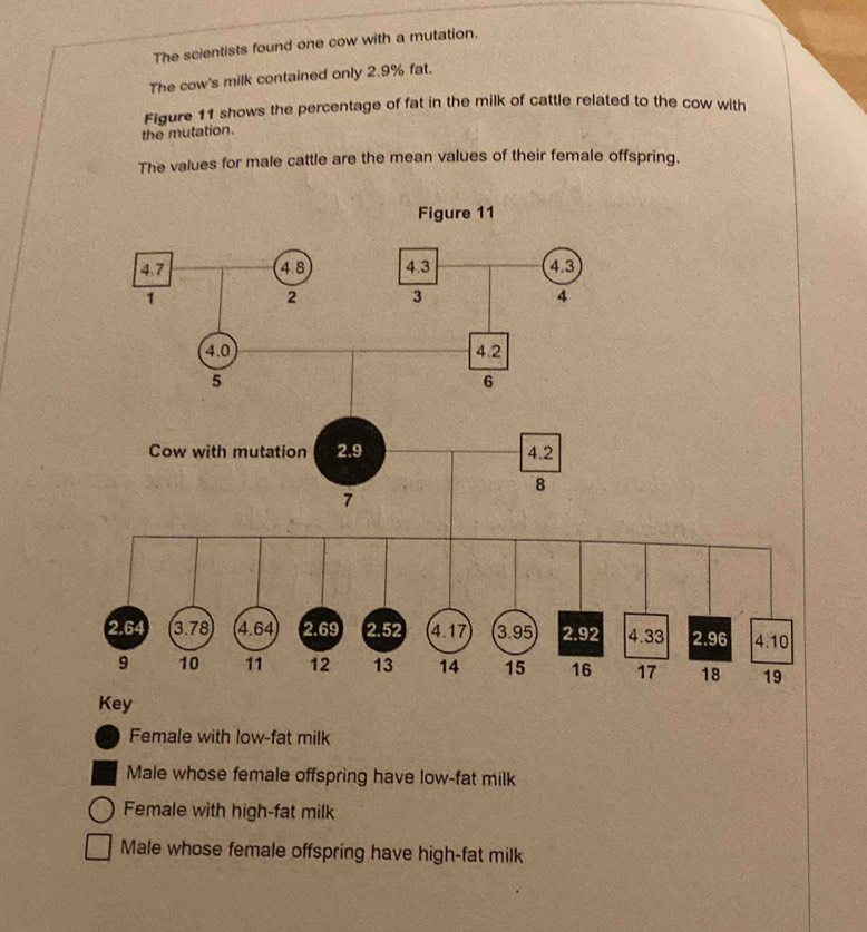 The scientists found one cow with a mutation.
The cow's milk contained only 2.9% fat.
Figure 11 shows the percentage of fat in the milk of cattle related to the cow with
the mutation.
The values for male cattle are the mean values of their female offspring.
Female with low-fat milk
Male whose female offspring have low-fat milk
Female with high-fat milk
Male whose female offspring have high-fat milk