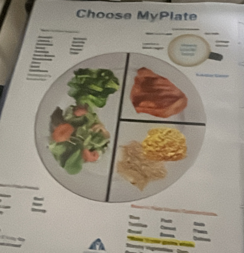 Choose MyPlate