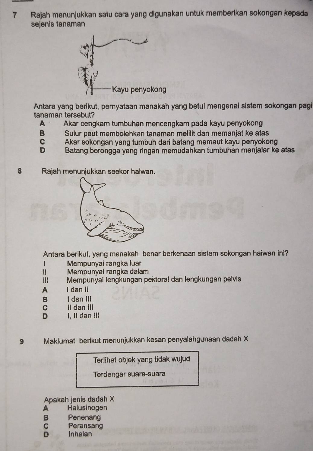 Rajah menunjukkan satu cara yang digunakan untuk memberikan sokongan kepada
sejenis tanaman
Antara yang berikut, pernyataan manakah yang betul mengenai sistem sokongan pagi
tanaman tersebut?
A Akar cengkam tumbuhan mencengkam pada kayu penyokong
B Sulur paut membolehkan tanaman melilit dan memanjat ke atas
C Akar sokongan yang tumbuh dari batang memaut kayu penyokong
D Batang berongga yang ringan memudahkan tumbuhan menjalar ke atas
8 Rajah menunjukkan seekor halwan.
Antara berikut, yang manakah benar berkenaan sistem sokongan haiwan ini?
i Mempunyai rangka luar
| Mempunyai rangka dalam
III Mempunyai lengkungan pektora! dan lengkungan pelvis
A I dan II
B I dan III
C 1I dan ⅢII
D I, II dan iII
9 Maklumat berikut menunjukkan kesan penyalahgunaan dadah X
Terlihat objek yang tidak wujud
Terdengar suara-suara
Apakah jenls dadah X
A Halusinogen
B Penenang
C Peransang
D a Inhalan