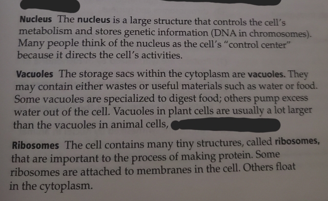 Solved: Nucleus The nucleus is a large structure that controls the cell ...