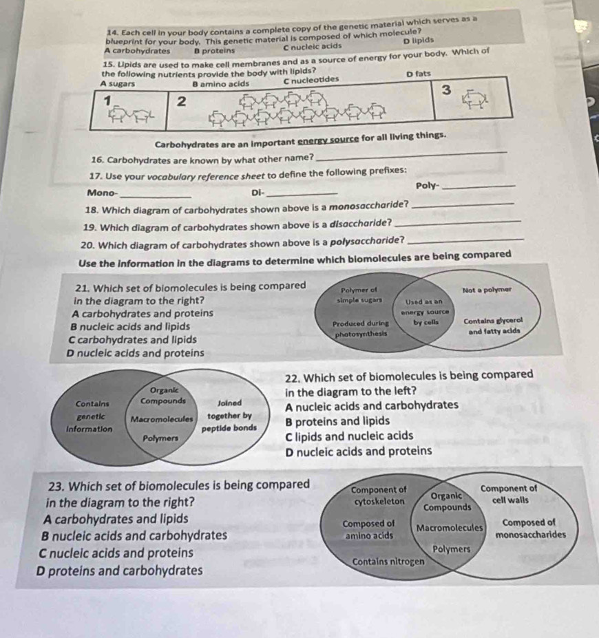 Each cell in your body contains a complete copy of the genetic material which serves as a
blueprint for your body. This genetic material is composed of which molecule?
A carbohydrates B proteins C nucleic acids D lipids
15. Lipids are used to make cell membranes and as a source of energy for your body. Which of
the following nutrients provide the body with lipids?
A sugars B amino acids C nucleotides D fats
3
1 2
Carbohydrates are an important energy source for all living things.
16. Carbohydrates are known by what other name?
_
17. Use your vocabulary reference sheet to define the following prefixes:
_
Mono-_ Di-_ Poly-_
_
18. Which diagram of carbohydrates shown above is a monosαccharide?
19. Which diagram of carbohydrates shown above is a disaccharide?
20. Which diagram of carbohydrates shown above is a polysaccharide?_
Use the information in the diagrams to determine which biomolecules are being compared
21. Which set of biomolecules is being compar
in the diagram to the right?
A carbohydrates and proteins
B nucleic acids and lipids
C carbohydrates and lipids
D nucleic acids and proteins
22. Which set of biomolecules is being compared
in the diagram to the left?
A nucleic acids and carbohydrates
B proteins and lipids
C lipids and nucleic acids
D nucleic acids and proteins
23. Which set of biomolecules is being compare
in the diagram to the right? 
A carbohydrates and lipids
B nucleic acids and carbohydrates
C nucleic acids and proteins
D proteins and carbohydrates