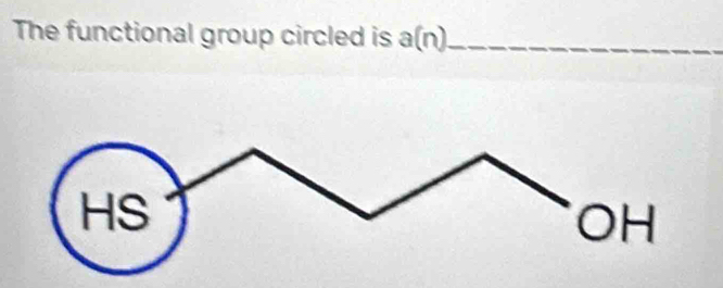 The functional group circled is a(n) _