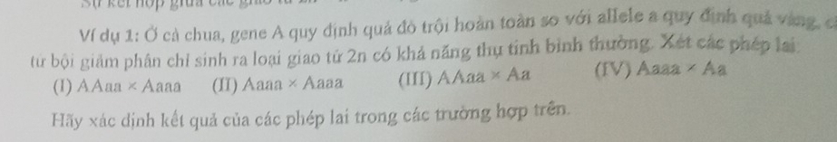 Ví dụ 1: Ở cả chua, gene A quy định quả đô trội hoàn toàn so với allele a quy định quả vàng, c
từ bội giám phân chỉ sinh ra loại giao tứ 2n có khả năng thụ tỉnh bình thường. Xét các phép lai:
(1) a Aaa × Aaaa (II) Aaaa × Aaaa (III) AAaa * Aa (IV) Aaaa ∠ A
Hãy xác dịnh kết quả của các phép lai trong các trường hợp trên.