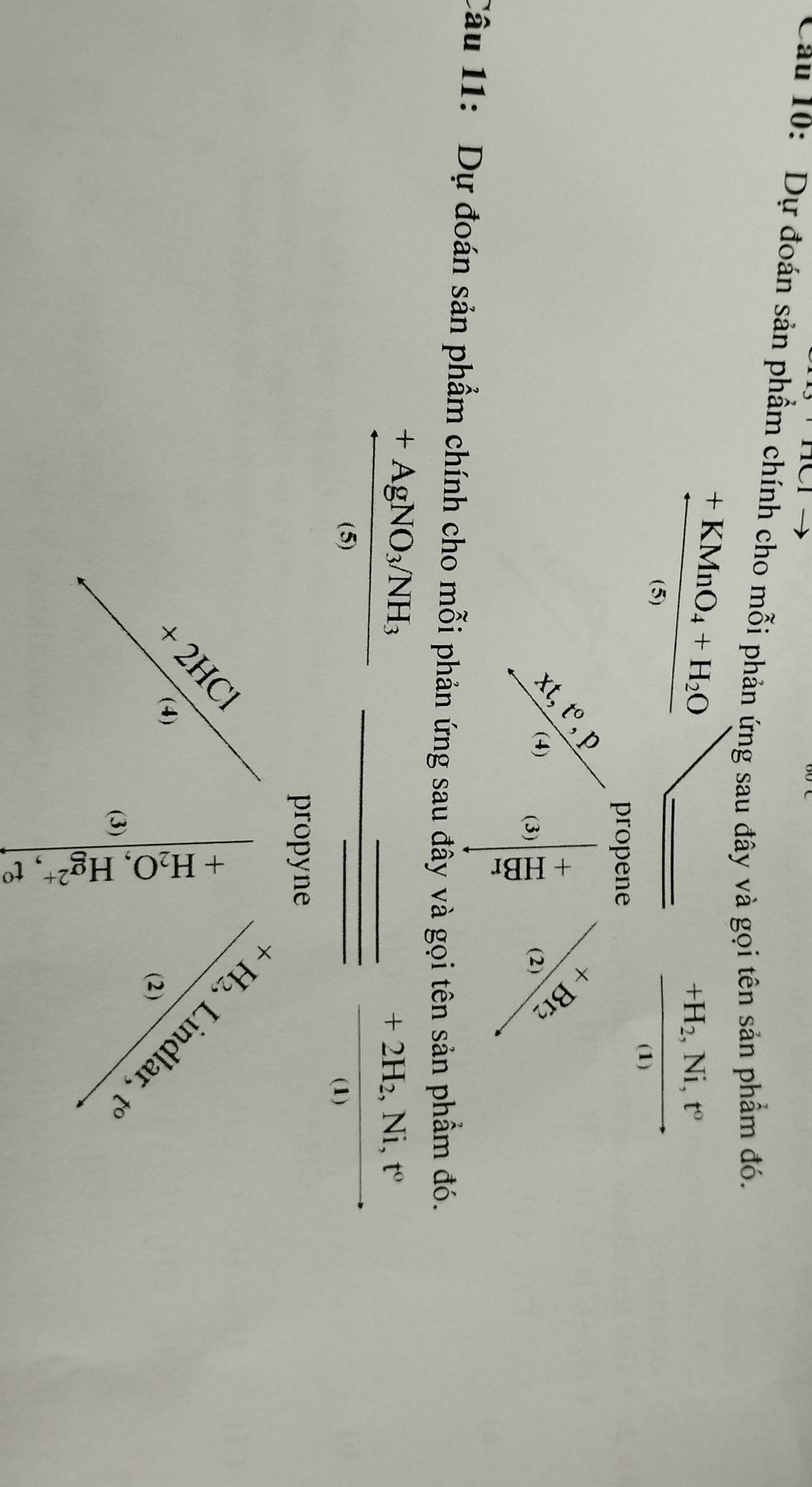 Cau 10: Dự đoán sản phẩm chính cho mỗi phản ứng sau đây và gọi tên sản phẩm đó.
frac +KMnO_4+H_2O(s) _  frac +H_2,Ni,t^0(1)
propene
frac x_1e^(x_2)x_1 beginvmatrix x  (+)/x^2 &a^(-frac 2)2endvmatrix
(3) 
Câu 11: Dự đoán sản phẩm chính cho mỗi phản ứng sau đây và gọi tên sản phẩm đó.
frac +AgNO_3/NH_3(5)
frac +2H_2,Ni,t°(1). 
propyne 
* 
2, Lindla° frac +2HCl'v_, beginarrayr + 1endarray
② 
(3) t°