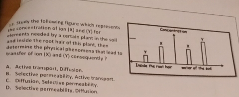 study the following figure which represents
the concentration of ion (X) and (Y) for
elements needed by a certain plant in the soil
and inside the root hair of this plant, then
determine the physical phenomena that lead t
transfer of ion (X) and (Y) consequently ?
A. Active transport, Diffusion.
B. Selective permeability, Active transport.
C. Diffusion, Selective permeability.
D. Selective permeability, Diffusion.