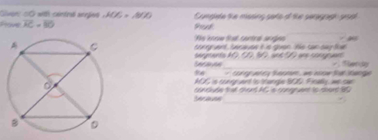 Gliven s0 with cintral angles A(x,=800 Complete the masing gars of the serogrgn grad 
_ 
Pove overline AC=overline BD Prek 
_ 
conry yent beravse it is goon. he can say the 
sergnents kO, CD, 50, and D0 une congeuant 
Seceves_ Ten ty 
to g at c erme ws sow tat tange 
MOG is cungruent to thangle 800. Fically, we car 
cancude tat chard AC a congpent to stord BC
_ 
Seceuse