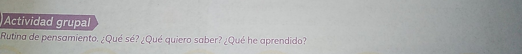 Actividad grupal 
Rutina de pensamiento. ¿Qué sé? ¿Qué quiero saber? ¿Qué he aprendido?