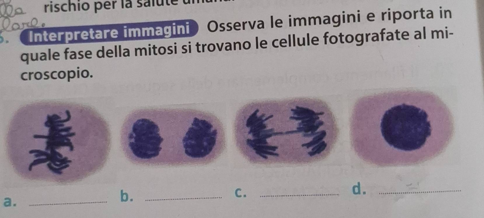 rischio per la safute 
Interpretare immagini) Osserva le immagini e riporta in 
quale fase della mitosi si trovano le cellule fotografate al mi- 
croscopio. 
a._ 
b._ 
C._ 
d._