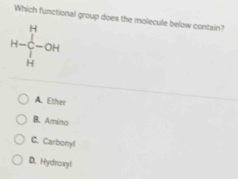 Which functional group does the molecule below contain?
H-∈tlimits _H^H-OH
A. Ether
B. Amino
C. Carbonyl
D. Hydnaxyl