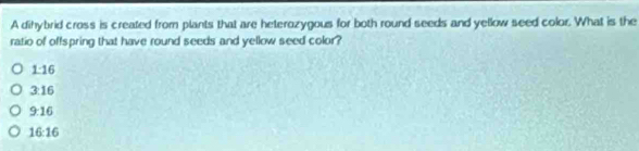 A dihybrid cross is created from plants that are heterozygous for both round seeds and yellow seed color. What is the
ratio of offspring that have round seeds and yellow seed color?
1:16
3:16
9:16
16:16