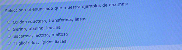 Selecciona el enunciado que muestra ejemplos de enzimas:
Oxidorreductasa, transferasa, liasas
Serina, alanina, leucina
Sacarosa, lactosa, maltosa
Triglicéridos, lípidos liasas