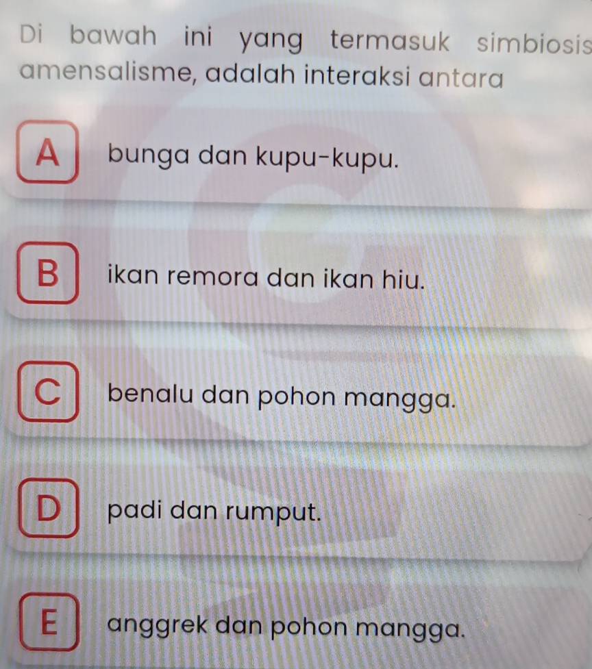 Di bawah ini yang termasuk simbiosis
amensalisme, adalah interaksi antara
A bunga dan kupu-kupu.
B ikan remora dan ikan hiu.
C benalu dan pohon mangga.
D padi dan rumput.
E anggrek dan pohon mangga.