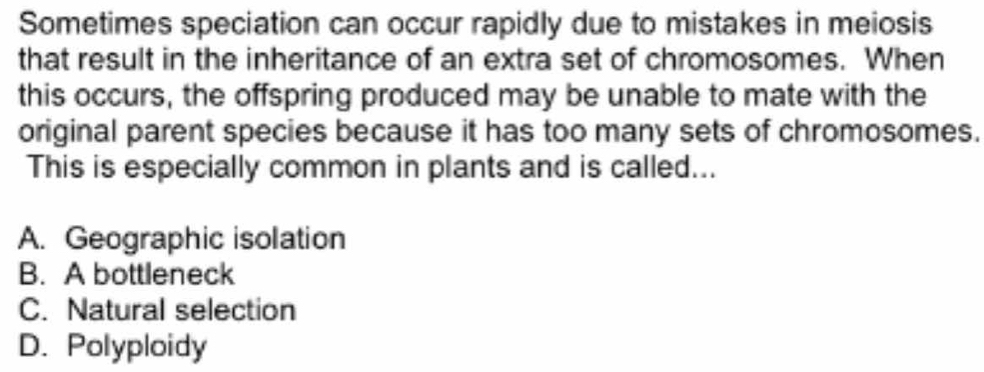 Sometimes speciation can occur rapidly due to mistakes in meiosis
that result in the inheritance of an extra set of chromosomes. When
this occurs, the offspring produced may be unable to mate with the
original parent species because it has too many sets of chromosomes.
This is especially common in plants and is called...
A. Geographic isolation
B. A bottleneck
C. Natural selection
D. Polyploidy