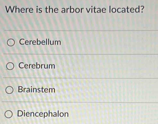 Where is the arbor vitae located?
Cerebellum
Cerebrum
Brainstem
Diencephalon