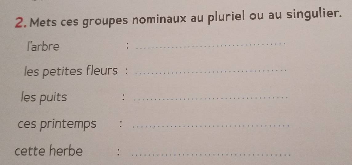 Mets ces groupes nominaux au pluriel ou au singulier. 
l'arbre 
_ 
les petites fleurs :_ 
les puits :_ 
ces printemps :_ 
cette herbe :_